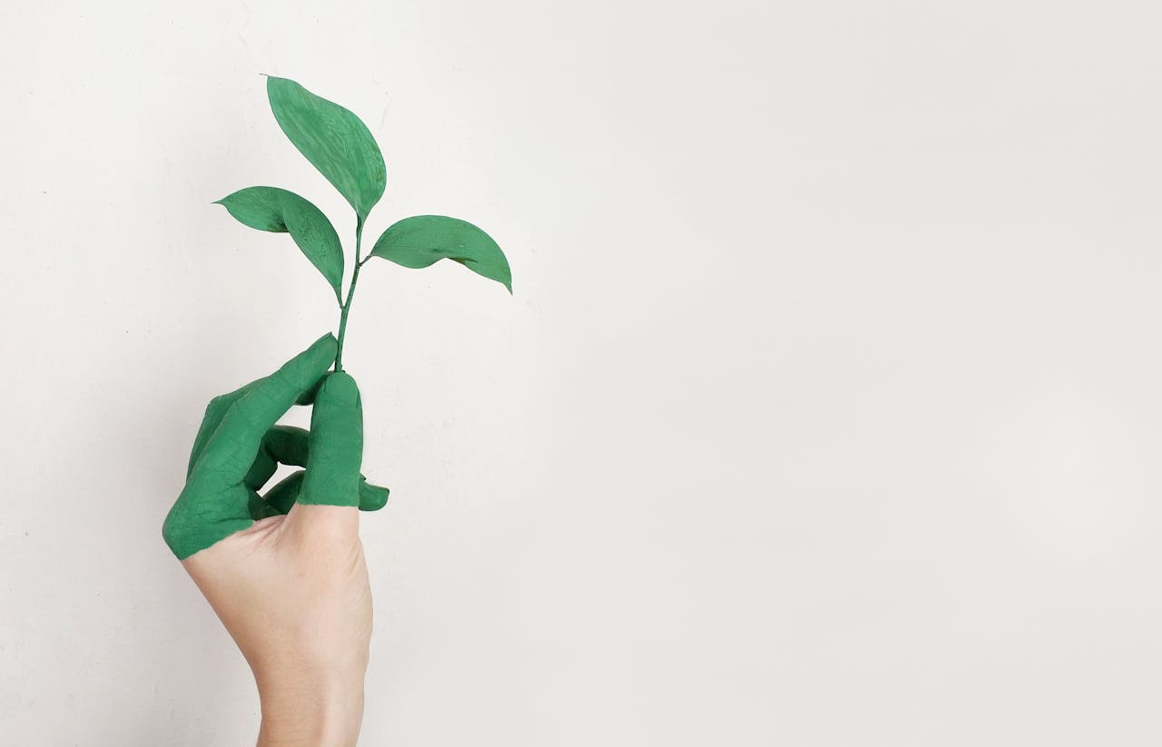 Home A hand painted green holds a fresh plant sprout against a light background, symbolizing growth and sustainability.